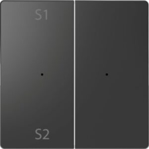 Wippen für Taster-Modul 2 fach  (Szene1/2, blank), Anthrazit, System Design Merten MEG5226-6034