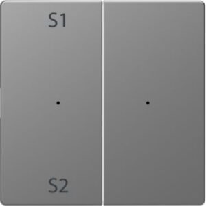 Wippen für Taster-Modul 2 fach  (Szene1/2, blank), Edelstahl, System Design Merten MEG5226-6036