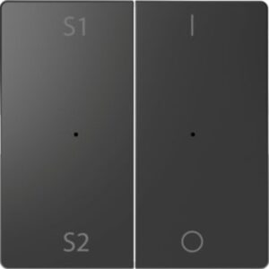 Wippen für Taster-Modul 2 fach  (Szene1/2, 1/0), Anthrazit, System Design Merten MEG5228-6034