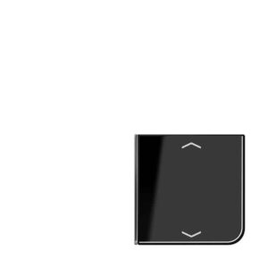 Taste 4fach, 1+4, mit Pfeilsymbolen, F40, Serie CD, schwarz, Jung CD404TSAPSW14