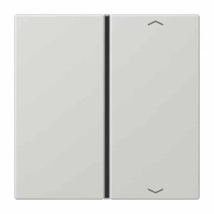 Taste 1fach, mit Pfeilsymbolen, F40, Serie LS, lichtgrau, Jung LS401TSAPLG