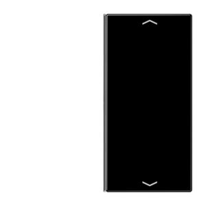 Taste 2fach, mit Pfeilsymbolen, F40, Serie LS, schwarz, Jung LS402TSAPSW