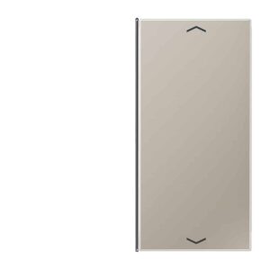 Taste 2fach, mit Pfeilsymbolen, F40, Serie LS, Edelstahl, Jung ES2402TSAP