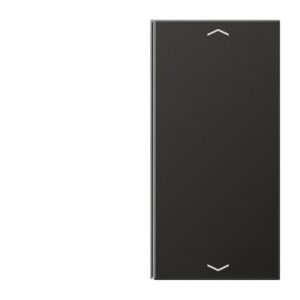 Taste 2fach, mit Pfeilsymbolen, F40, Serie LS, anthrazit (lackiertes Aluminium), Jung AL2402TSAPAN