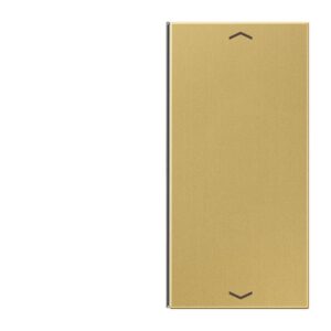 Taste 2fach, mit Pfeilsymbolen, F40, Serie LS, Messing classic, Jung ME2402TSAPC