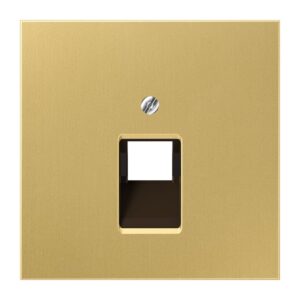 Abdeckung für IAE/UAE-Anschlussdosen 1 x 8-polig, Messing, Serie LS, Messing classic, Jung ME2969-1UAC