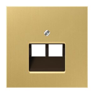 Abdeckung für IAE/UAE-Anschlussdosen 2 x 8-polig, Messing, Serie LS, Messing classic, Jung ME2969-2UAC