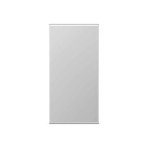 Abdeckung in Tastenfarbe, F50, Serie AS/A, aluminium, Jung A50NAAL