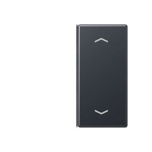 Taste 2fach, mit Pfeilsymbolen, F40, Serie A, anthrazit matt, Jung A402TSAPANM