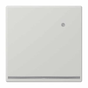 LED-Orientierungslicht mit integriertem Helligkeitssensor, Thermoplast, Serie LS, lichtgrau, Jung LS1539-OLGLNW