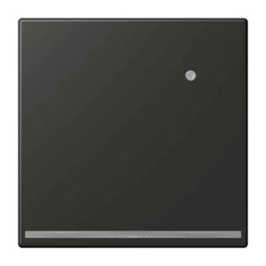 LED-Orientierungslicht mit integriertem Helligkeitssensor, Thermoplast lackiert, Serie LS, anthrazit, Jung AL1539-OANLNW