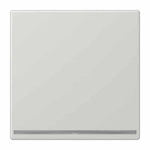 LED-Orientierungslicht, Thermoplast, Serie LS, lichtgrau, Jung LS1539-OOLGLNW