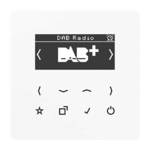 Smart Radio DAB+, Serie LS, alpinweiß, Jung DABLSWW