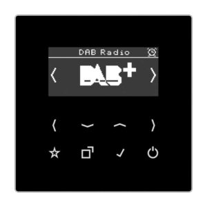 Smart Radio DAB+, Serie LS, schwarz, Jung DABLSSW