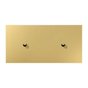 Abdeckung mit Kipphebel, Kegel, 2fach, 2 x 1 Kipphebel, waagerecht, Serie LS 1912, Messing classic, Jung ME12-200CK25