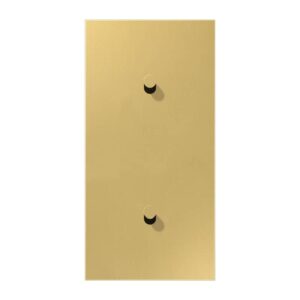 Abdeckung mit Kipphebel, Kegel, 2fach, 2 x 1 Kipphebel, senkrecht, Serie LS 1912, Messing classic, Jung ME12-20CK25