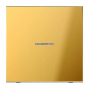 eNet Funk-Steuertaste Standard 1fach, Metall goldfarben PVD-beschichtet, Serie LS, goldfarben, Jung FMGO1700