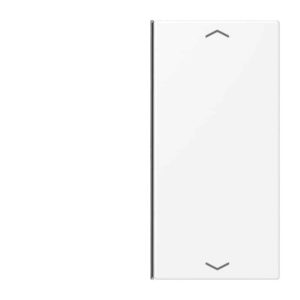Taste 2fach, mit Pfeilsymbolen, F40, Serie LS, schneeweiß matt, Jung LS402TSAPWWM