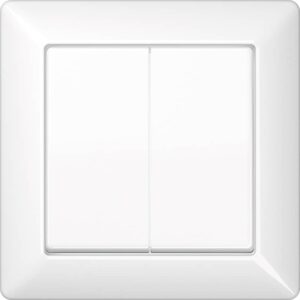 Wippe 2fach, mit Rahmen, Duroplast, Serie AS, alpinweiß, Jung AS590-5WW