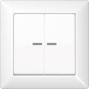 Wippe 2fach mit Lichtleiter, mit Rahmen, Duroplast, Serie AS, alpinweiß, Jung AS590-5KO5WW