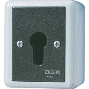 Schlüsselschalter, Taster (Wechsler), 1-pol., AX 250 V ~, IP 44, WG 800, Jung 833.18G
