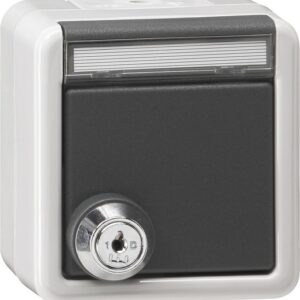 SCHUKO-Steckd. KD Schloss gleich + BSF WG AP Grau Gira 456930