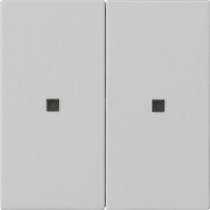 Wippe 2f unbedruckt Kontrollf. System 55 Grau m Gira 5369015