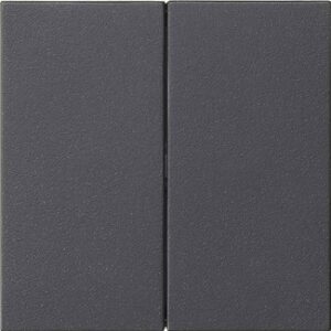 Wippe 2f unbedruckt System 55 Anthrazit Gira 537028