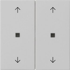 Wippe 2f Pfeile Kontrollf. System 55 Grau m Gira 5386015