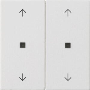 Wippe 2f Pfeile Kontrollf. System 55 Reinweiß m Gira 538627