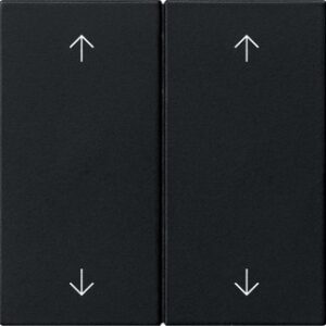 Wippe 2f Pfeile System 55 Schwarz m Gira 5387005