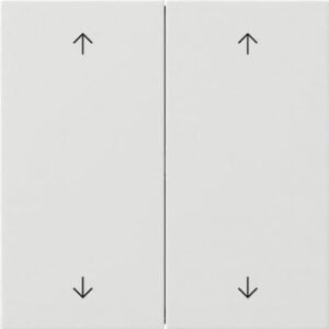Wippe 2f Pfeile Flächenschalter Reinweiß Gira 5387112
