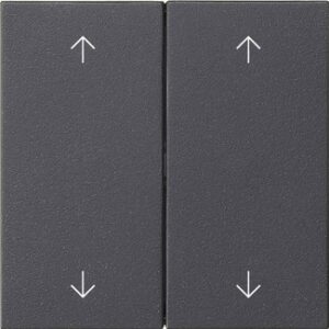 Wippe 2f Pfeile System 55 Anthrazit Gira 538728