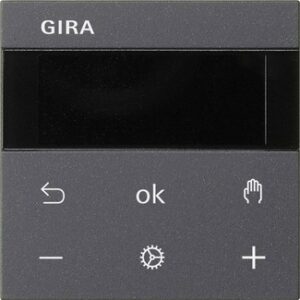 S3000 RTR BT System 55 Anthrazit Gira 539428