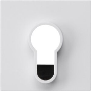 Abd.Schlüsselschalter/-taster o.Aufdruck System 55 Reinweiß Gira 866403