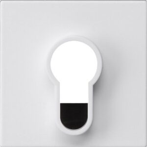 Abd.Schlüsselschalter/-taster o.Aufdruck System 55 Reinweiß m Gira 866427