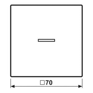 Wippe mit Lichtleiter für KNX Taster 1fach, Metall goldfarben PVD-beschichtet, Serie LS, goldfarben, Jung GO101KO5