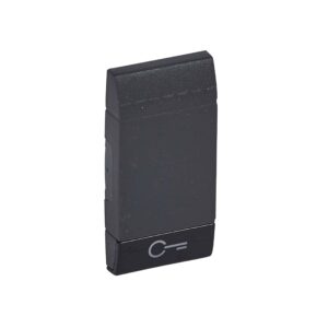 Wippe + Schlüssel 1-Modulig Anthrazit Bticino L4915FN