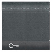 Wippe + Schlüssel 2-Modulig Anthrazit Bticino L4915M2FN
