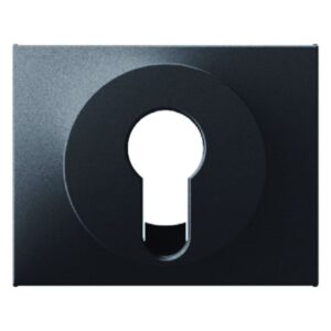 Zentralstück für Schlüsselschalter/-taster Berker K.1 anthrazit, matt, Berker 15057006