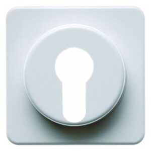 Zentralstück für Schlüsselschalter/-taster wg Up IP44 polarweiß, glänzend, Berker 151919