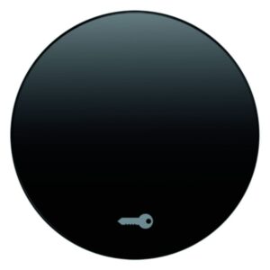 Wippe mit Aufdruck Symbol Tür Berker R.1/R.3 schwarz, glänzend, Berker 16202015