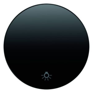 Wippe mit Aufdruck Symbol Licht Berker R.1/R.3 schwarz, glänzend, Berker 16202035