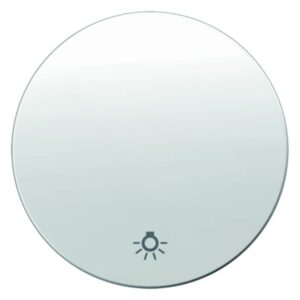 Wippe mit Aufdruck Symbol Licht Berker R.1/R.3 polarweiß, glänzend, Berker 16202079