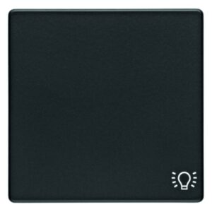 Wippe mit Aufdruck Symbol Licht Berker Q.1/Q.3 anthrazit, samt, Berker 16206046
