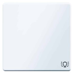 Wippe mit Aufdruck Symbol Licht Berker Q.1/Q.3 polarweiß, samt, Berker 16206049