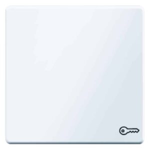 Wippe mit Aufdruck Symbol Tür Berker Q.1/Q.3 polarweiß, samt, Berker 16206069