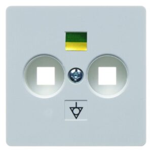 Zentralplatte für Doppel-Potenzialausgleich-Steckdose Zentralplattensystem polarweiß glänzend, Berker 140309