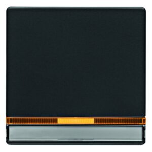 Wippe mit 2 beiliegenden Linsen und Beschriftungsfeld Berker Q.1/Q.3 anthrazit,, Berker 16286086