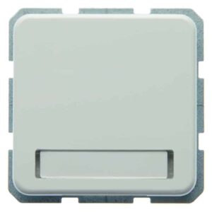 Steckdose SCHUKO mit Klappdeckel und Beschriftungsfeld wg Up IP44 polarweiß, glä, Berker 471909